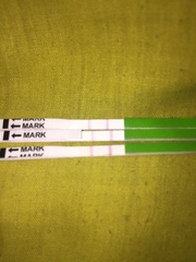 Ovulation question