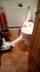 Why does my cat go to the litter tray almost every time I go to the loo ?