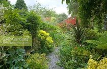 Calling shovetheholly and other gardeners! Help!