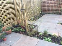 The Landscapers are here, it is better than the arrival of Santa