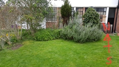 Is this a good place to plant a veg plot?
