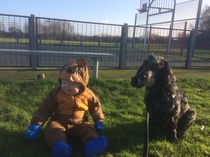 Has anybody had a good experience with a rescue dog?