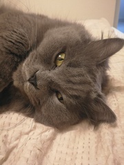 Gorgeous eyes.