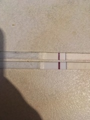 AF now 3 days late but no real BFP. Any positive words or stories?