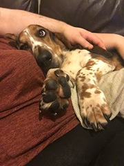 Week 8 - Spring Low Carb Bootcamp - an early start this week