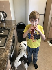 Find out what MNers thought of Fruit Drop, the new home delivery service from Robinsons NOW CLOSED
