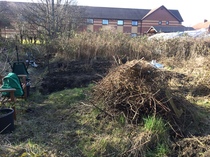 Allotment/Veg Patch -Thread  8 - Its spring - time to get busy!