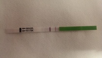PCOS, Periods, Provera & Pals. Plus All The Bits In between.