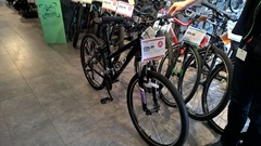 The Mighty Frugaleers Meticulously March into March