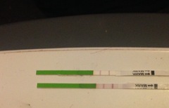 New to this and TTC: Am I ovulating?