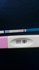 Mid-Late November due dates