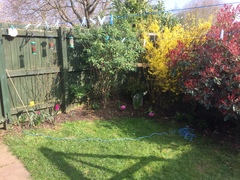 Help me with my border!