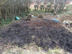 Allotment/Veg Patch -Thread  8 - Its spring - time to get busy!