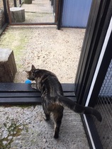 What's your dcat doing today?