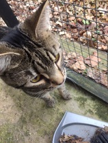 What's your dcat doing today?