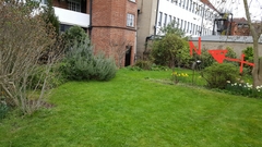 Is this a good place to plant a veg plot?