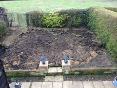 Allotment/Veg Patch -Thread  8 - Its spring - time to get busy!