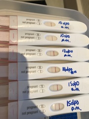Chemical pregnancy or dodgy internet tests??