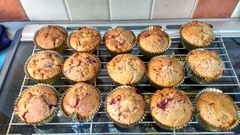 Frugaleers Marching on!