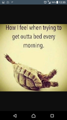 May 2017 #9 3rd trimester!