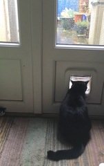 I think they want to go out (pic)