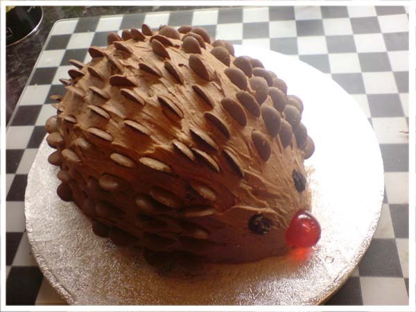 Is my hedgehog fucked? (Pics)