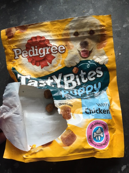 Is it ok for cats to eat dog food?