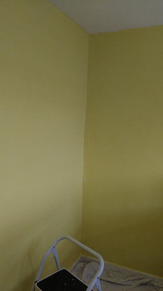 Read Mumsnetters’ feedback on Valspar Premium Blend v700 Walls & Ceilings Paint - £300 voucher to be won for feedback NOW CLOSED