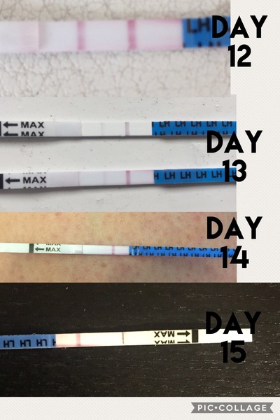 Ovulating?