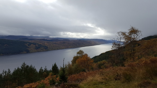 #makeithappen TTC through Donor IUI or Donor IVF or just undecided. All welcome. Thread 8