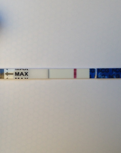 13 dpo