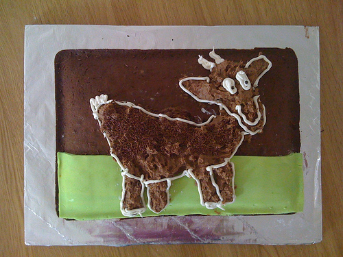 Read the Damn Post! AIBU