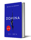 Find out what Mumsnetters thought of Domina by L S Hilton
