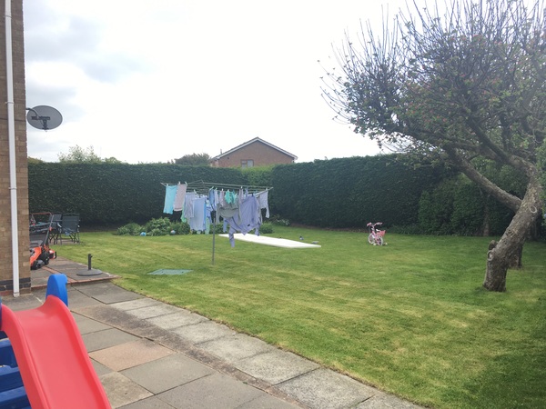My new garden!
