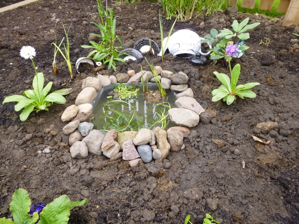 Allotment/Veg Patch -Thread  8 - Its spring - time to get busy!