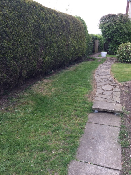 Will anything survive if I dig a bed here?