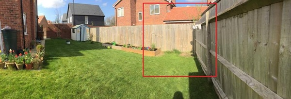 Help us decide what to do with this corner of our garden! (See pics)
