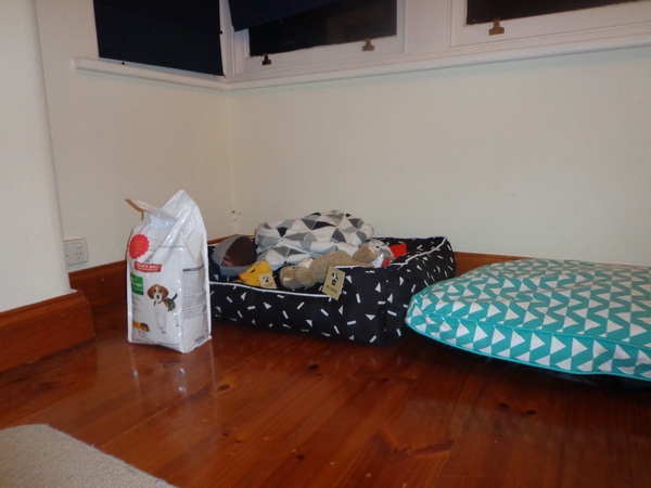 Does anyone fancy a 'puppy survival' thread?