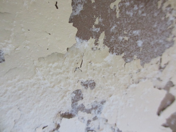 Frugaleers saving and chatting through April