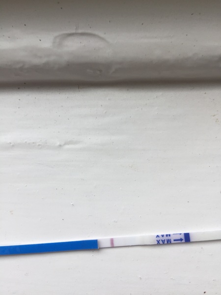 Another squinter. 12dpo IC with concentrated urine
