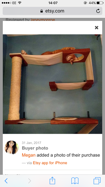 Would I be nuts to buy this?