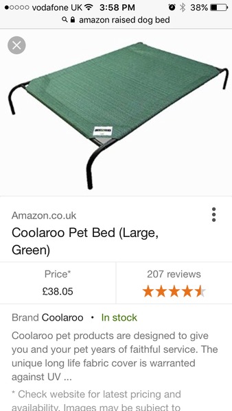 What does your large dog sleep on?