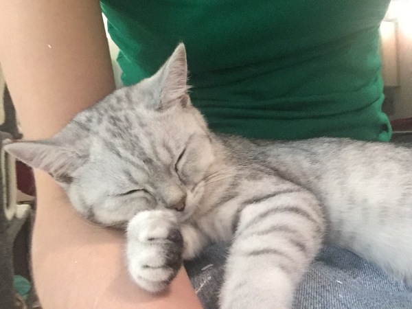 What's your dcat doing today?