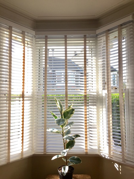 White wooden slatted blinds