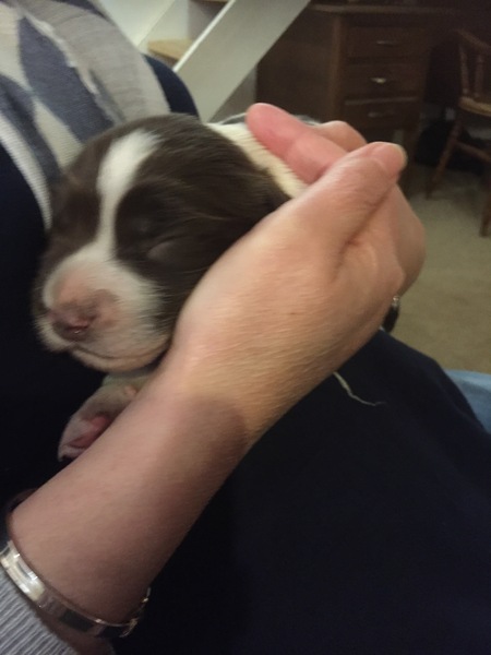 Dh has died - the MN Aunties are helping me keep on