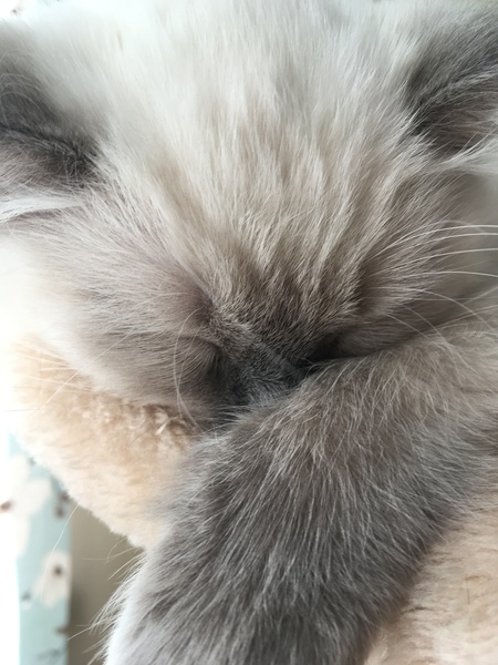 Devastated over the loss of my boy