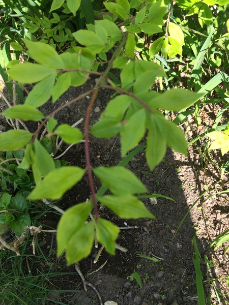 Any idea what this is??