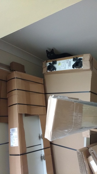 What's your DCat up to today? Pt 2