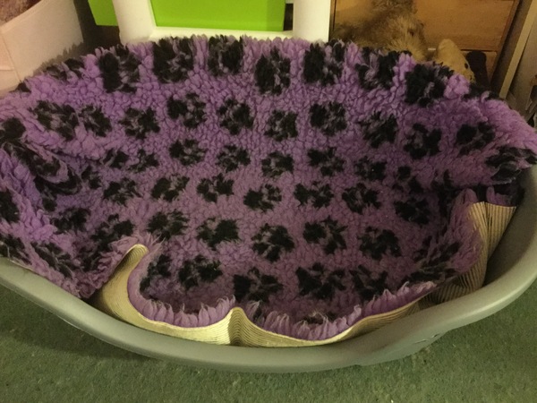Dog bed - What size reusable/washable incontinence pad?