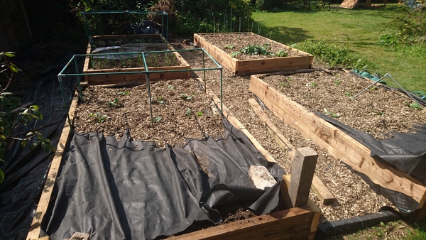 Allotment/Veg Patch -Thread  8 - Its spring - time to get busy!